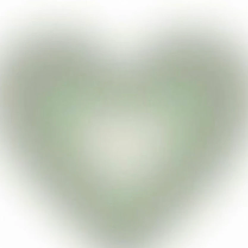이지아,김현주,안하은