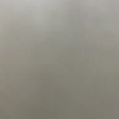 Profile image of 연쭌