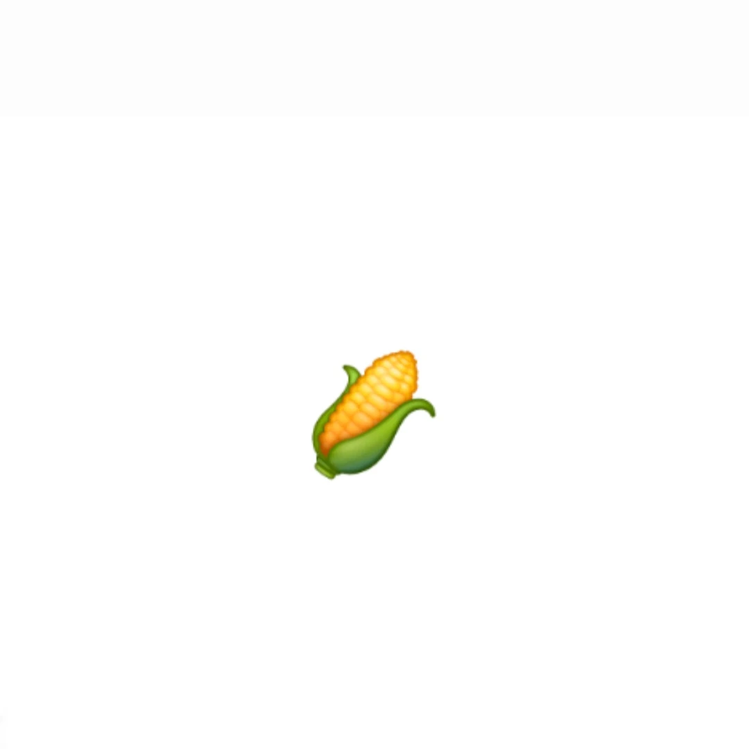 정형우