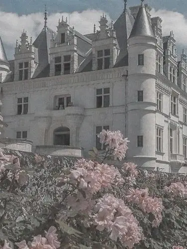 S_gak_r_p0n_z의 囚われの令嬢/子息