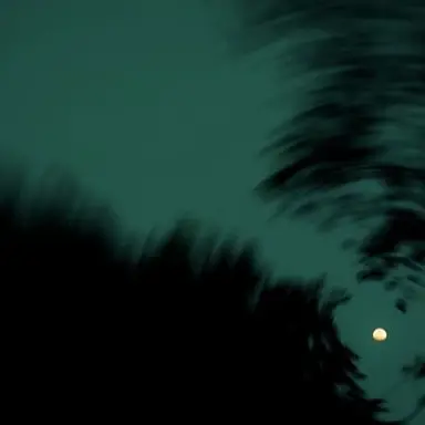 Profile image of 공룡