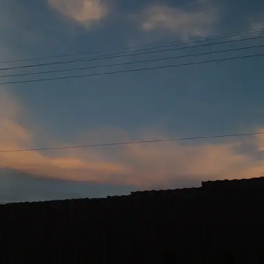 Profile image of 픽셀리동거