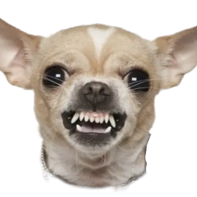 Profile image of 치와와