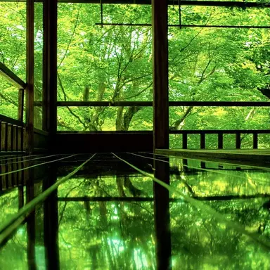 Profile image of 伊波ライ