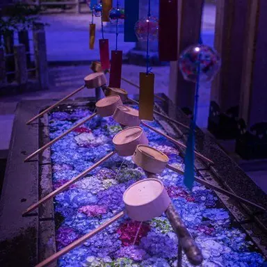 Profile image of 星導ショウ