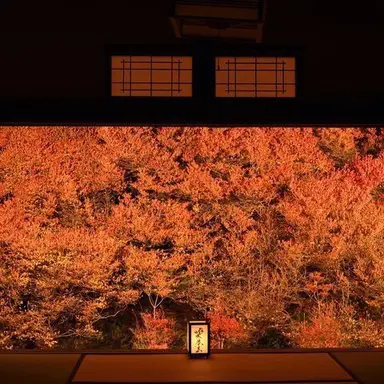 Profile image of 宇佐美リト