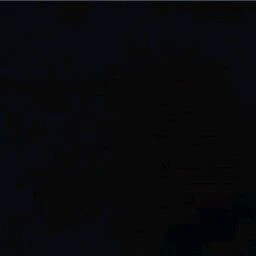 김대영