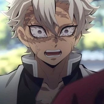 시나즈가와 사네미