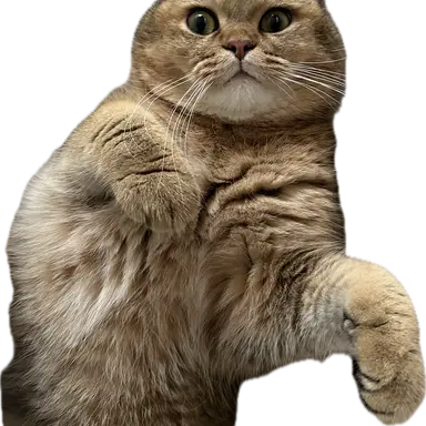 Profile image of ノウル