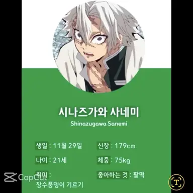 Profile image of 시네즈가와 사네미