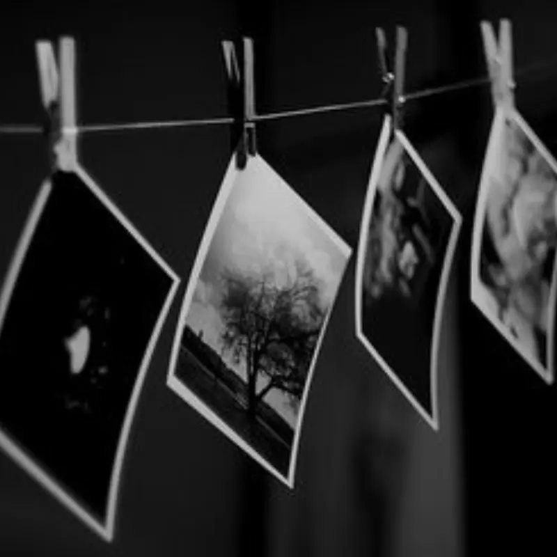 RipeLaugh4470의 형사 파크모