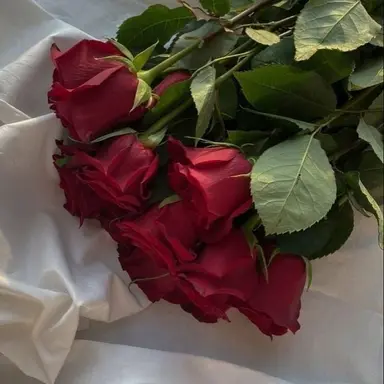 Profile image of 플래그