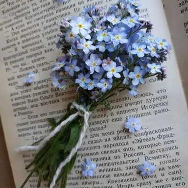 Profile image of 행크