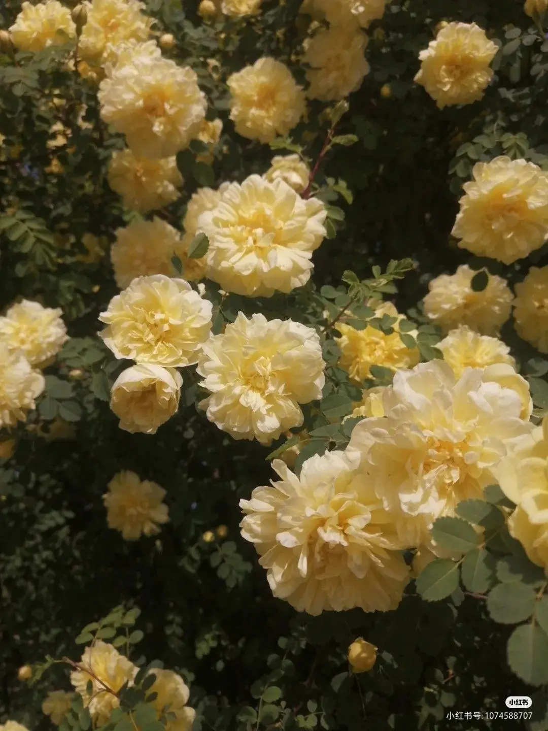 Uari0081400의 같이 살기로 했잖아.