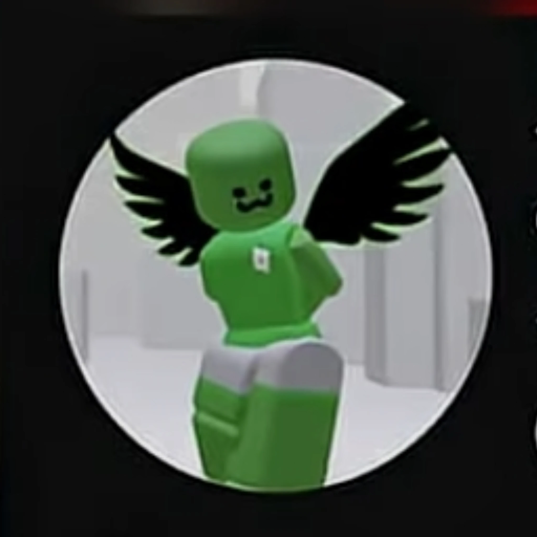샤샤