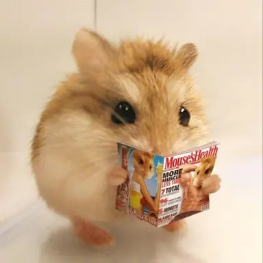 Profile image of 아이브