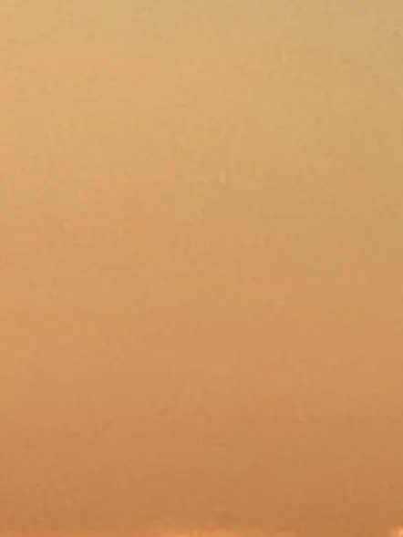 nanimitendayo0207의 🐯シノストラ寮の寮長🎰