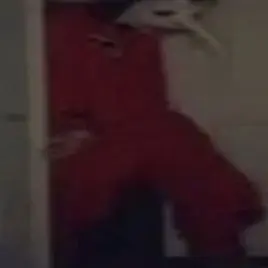 Profile image of Chris Fehn