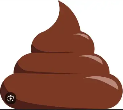 IvoryTwig0909의 Diarrhea Attack