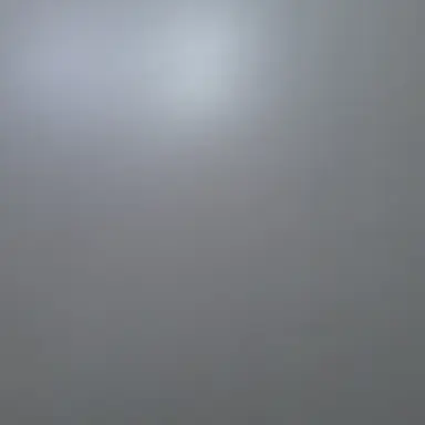 Profile image of 유지민