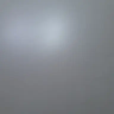 Profile image of 김애리