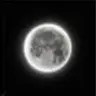 Profile image of 自由