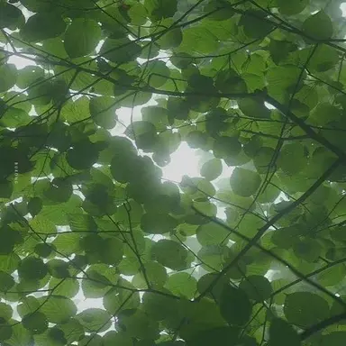 Profile image of 정공룡