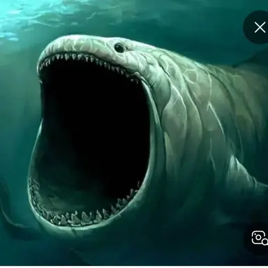 Profile image of 더 불룹