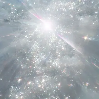 Profile image of Y-W726895