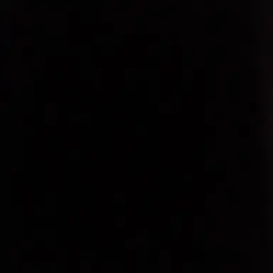 Profile image of 최수빉