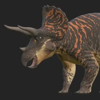 Profile image of 케이