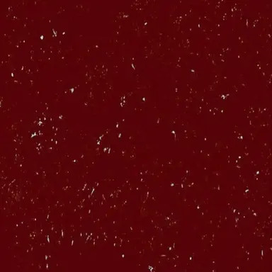 Profile image of 奏夢