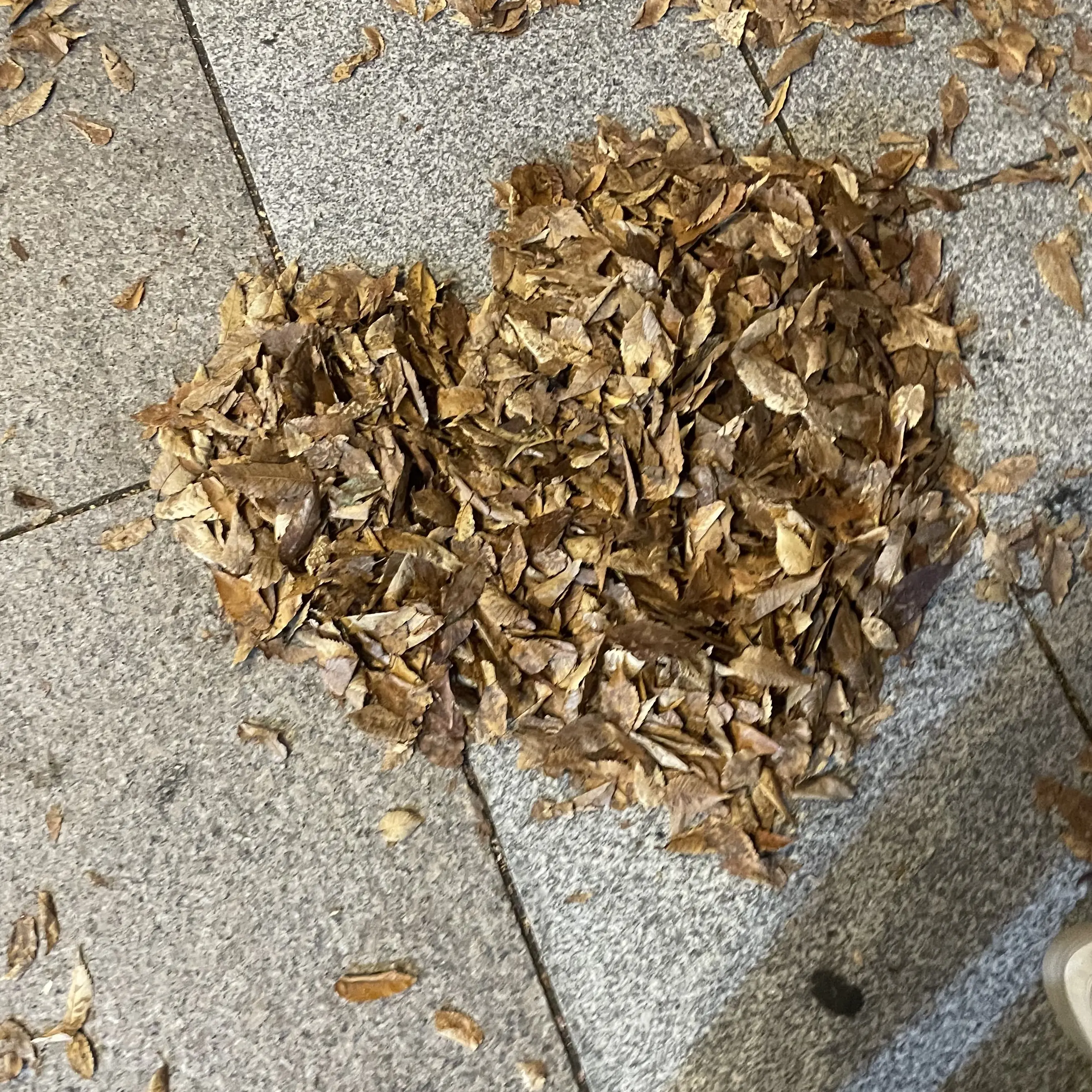 pkjhn0314의 不良くん