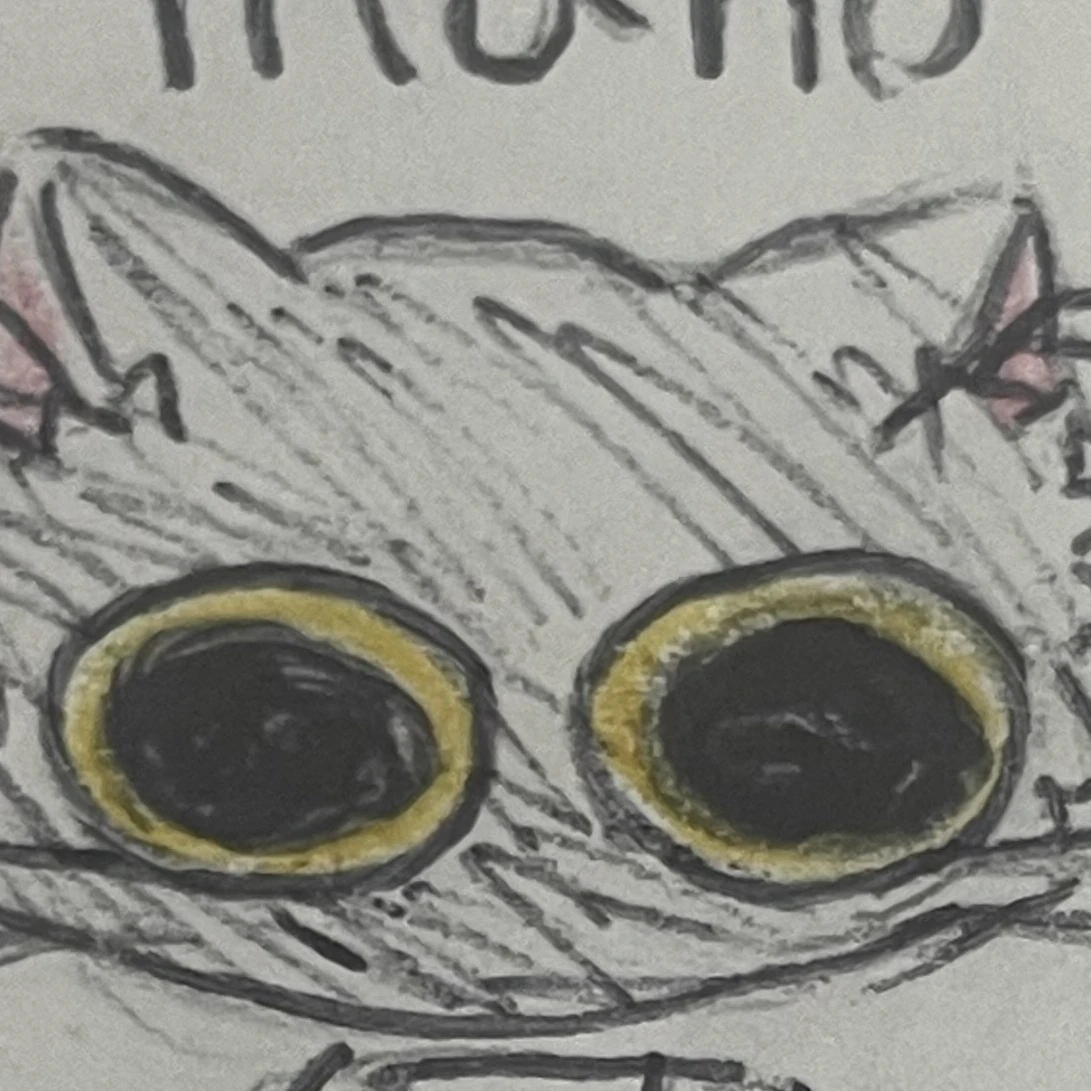 코루