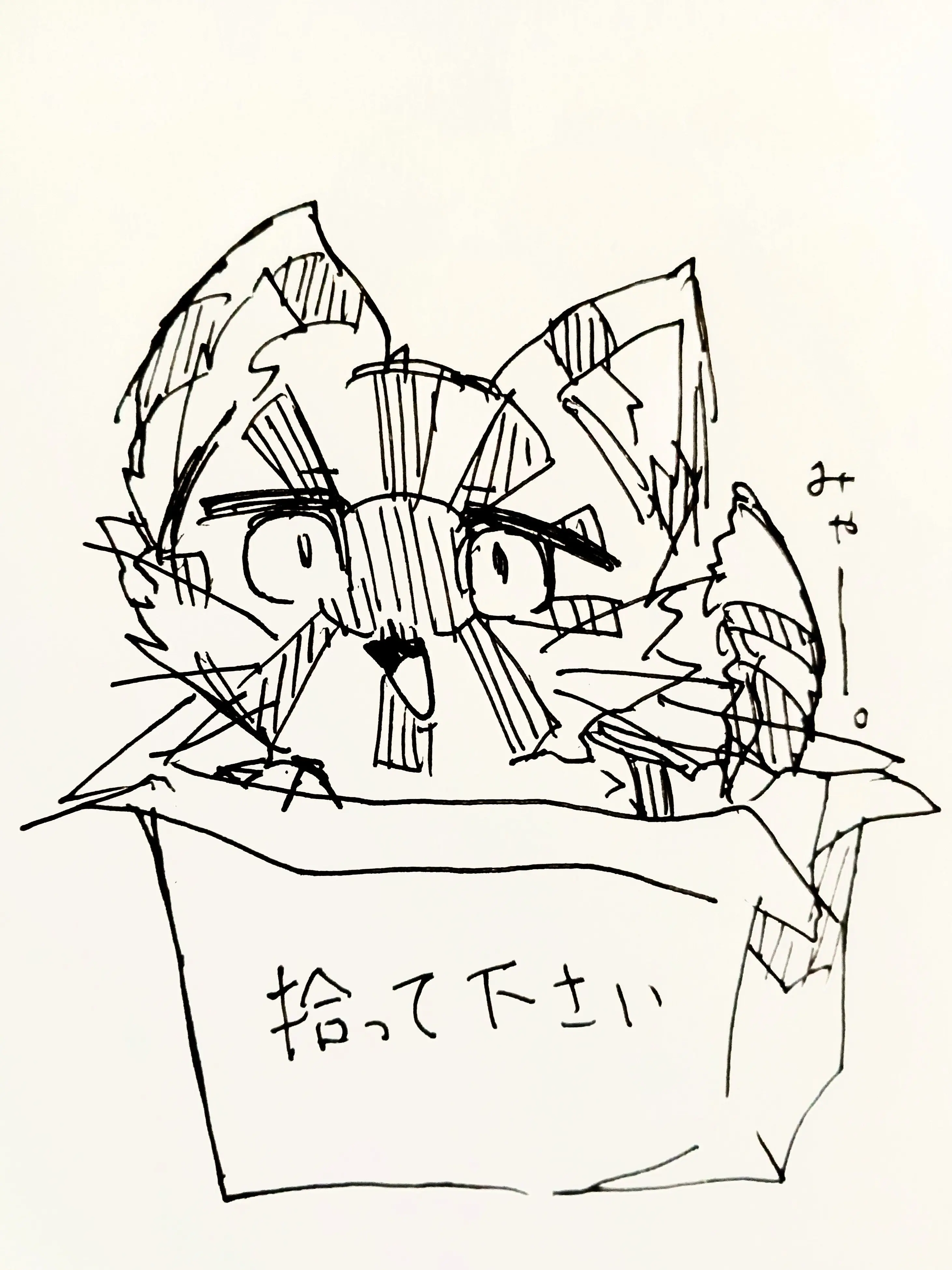Mer_DESU의 捨て猫