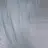 葵