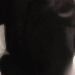 廉