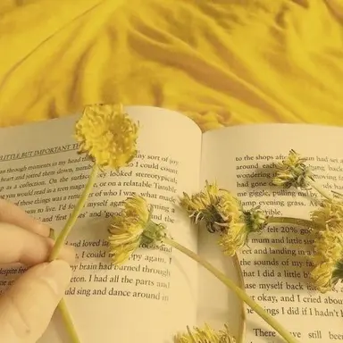 Profile image of 꽥