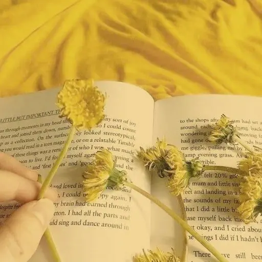 love_teamsalad의 NEW ! 새로운 뒷세계의 킬러들