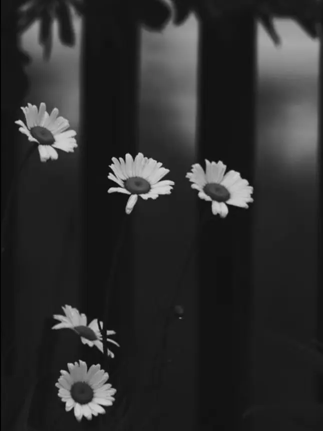 Hi_myfans의 "너네들이.. 왜 이런 짓을..."