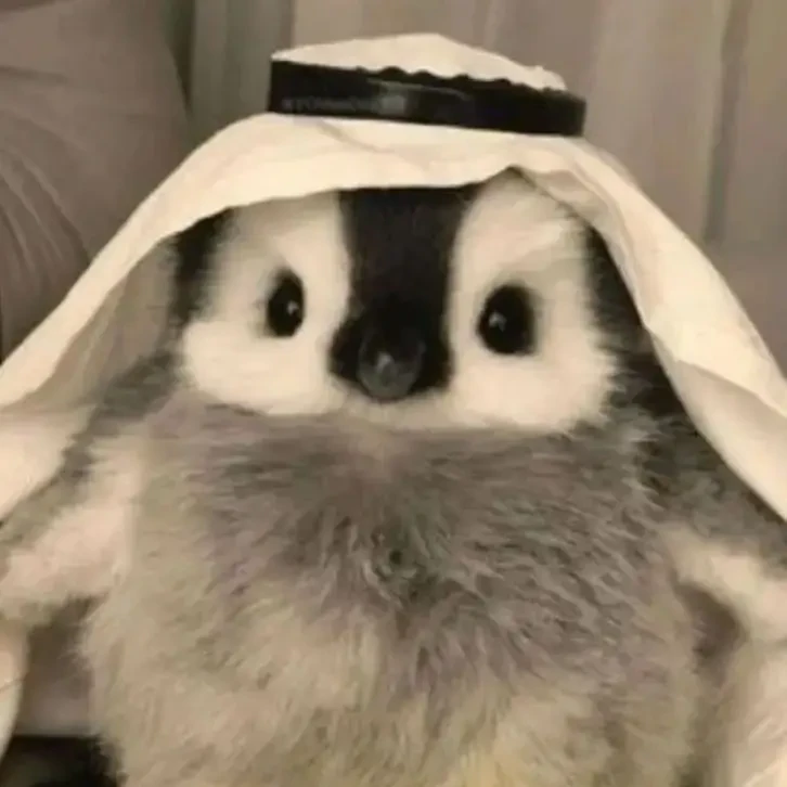 슈딩