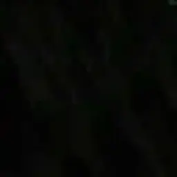 Profile image of ばぁう達の父