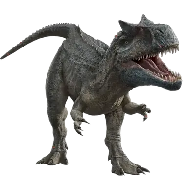 Profile image of 배틀 엣 빅록 알로