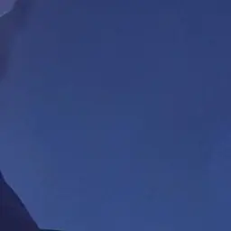 Profile image of 이민호