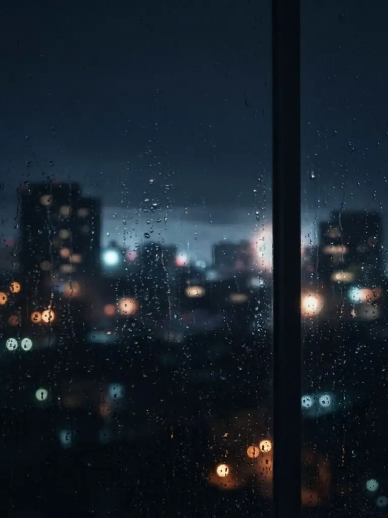 woto_neko의 転生先は雨の町。