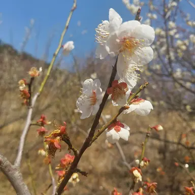 Profile image of 허연