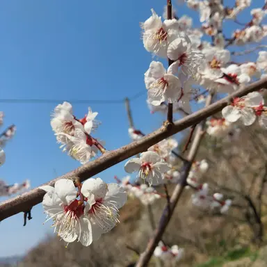 Profile image of 태극검제