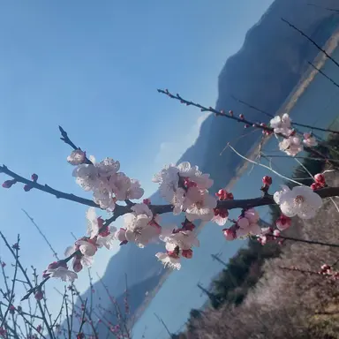 Profile image of 검존