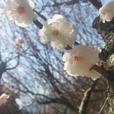 Profile image of 당화