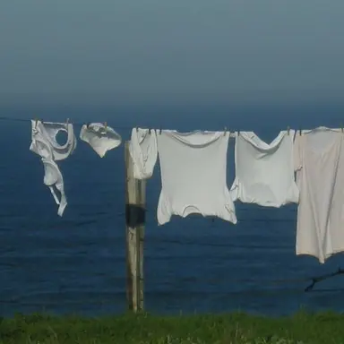 Profile image of 이우연